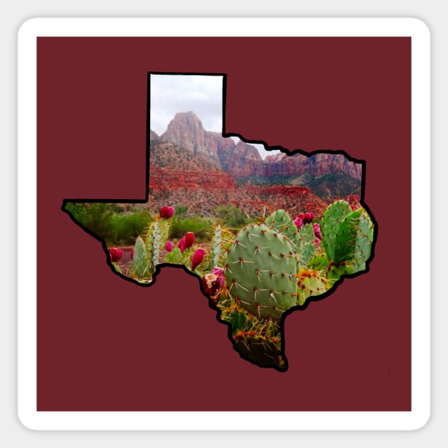 Prickly Pear State Sticker by Brontysaurus